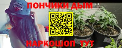 прущие крисы Донской