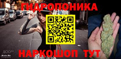 прущие крисы Донской